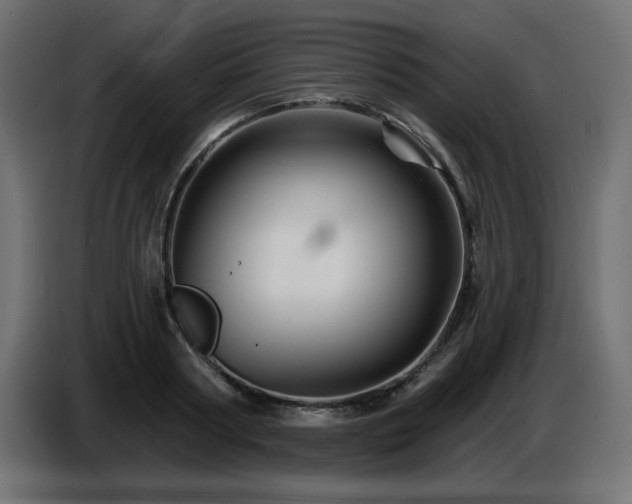 X0000087680794200705041028