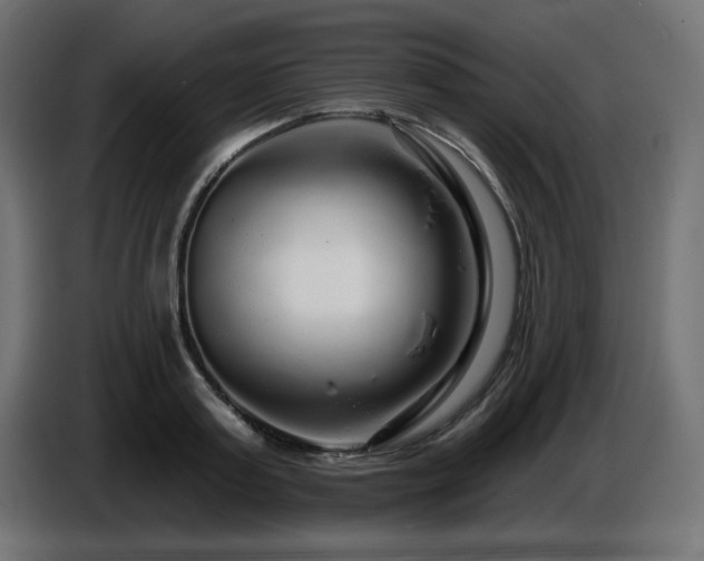 X0000087680795200705041028