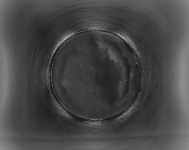 X0000087680798200705041028