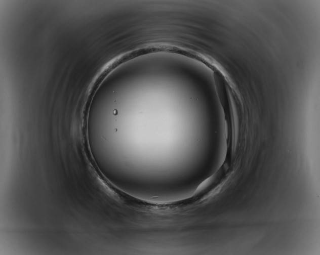 X0000087680799200705041028