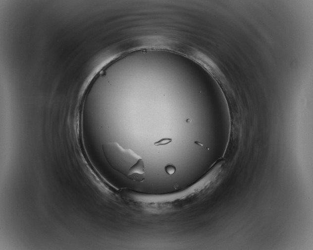X0000087680804200705041027