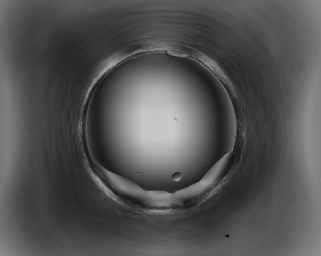 X0000087680805200705041027