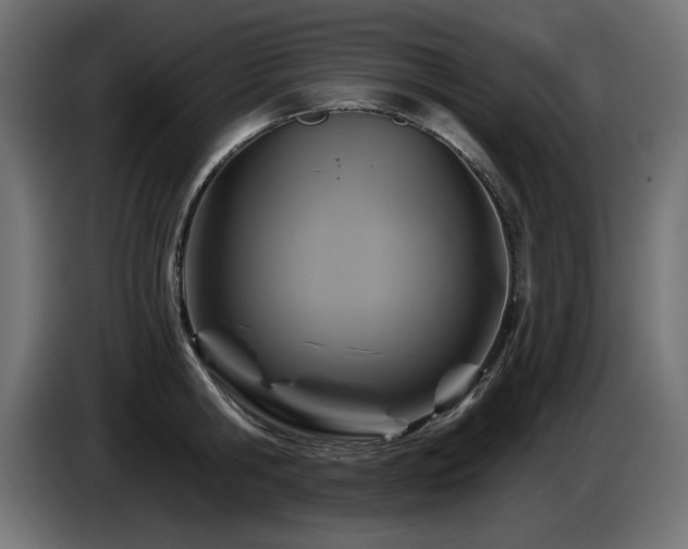 X0000087680806200705041027