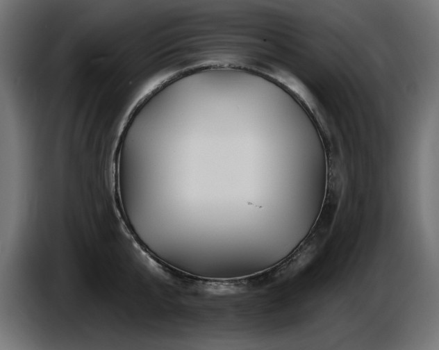 X0000087680807200705041027