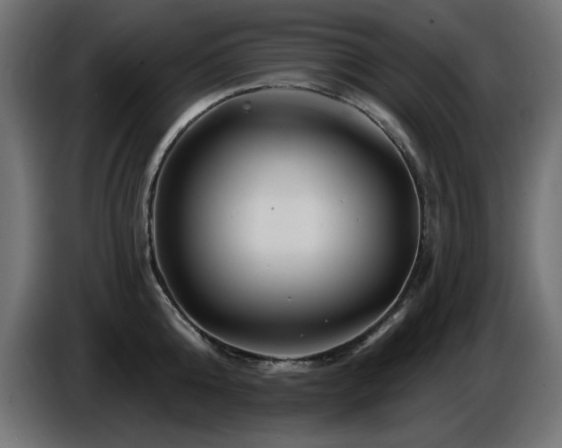 X0000087680808200705041027
