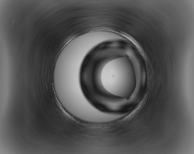 X0000087680809200705041027