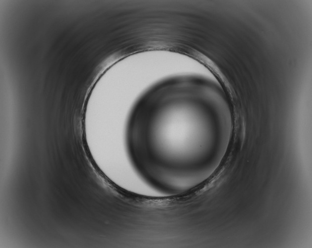 X0000087680810200705041027