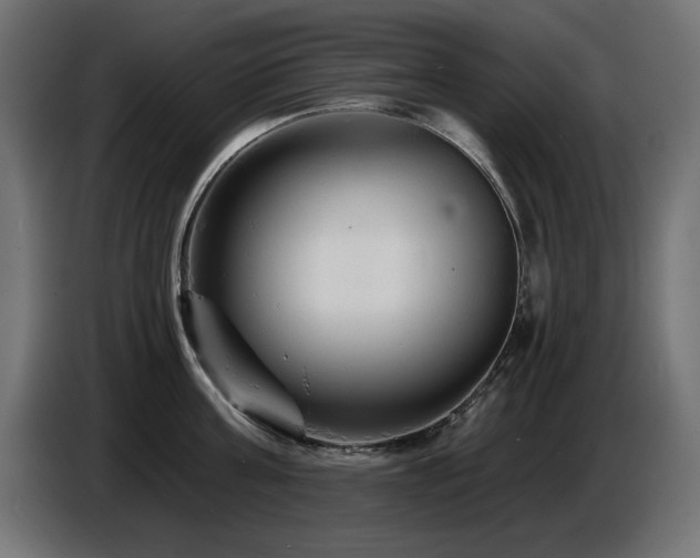 X0000087680811200705041027