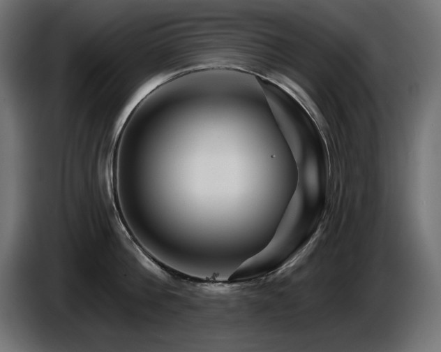 X0000087680812200705041027