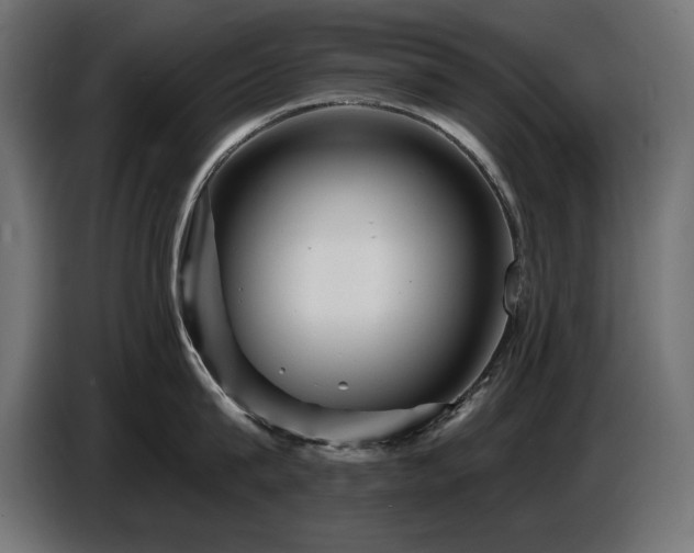 X0000087680815200705041027
