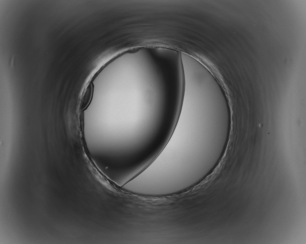 X0000087680816200705041027
