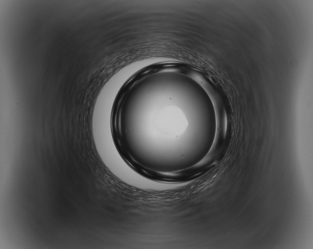 X0000087680818200705041027