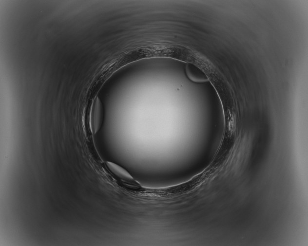 X0000087680819200705041027