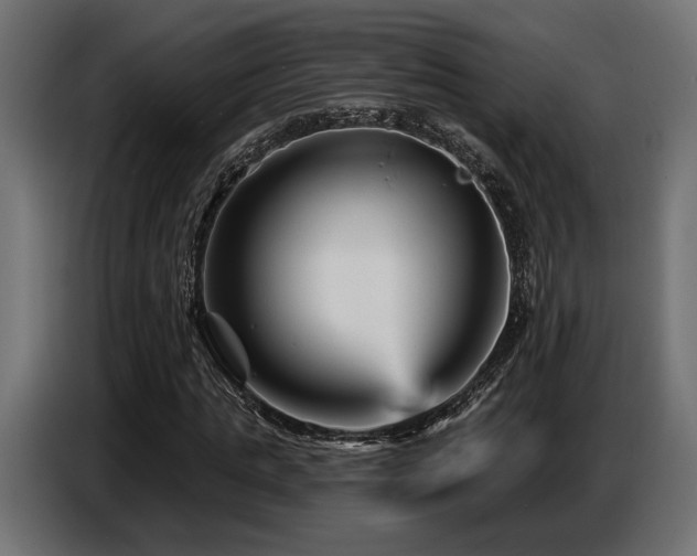 X0000087680821200705041027