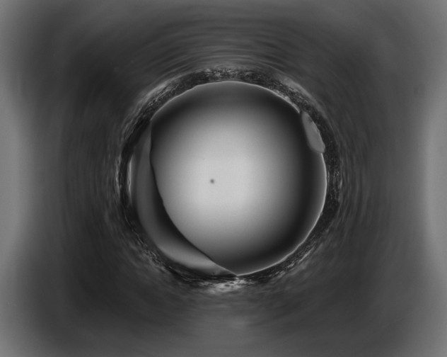 X0000087680822200705041027