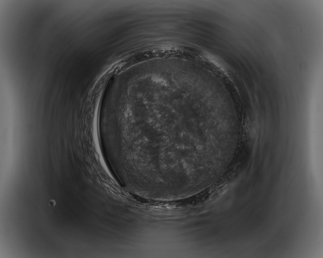 X0000087680823200705041027