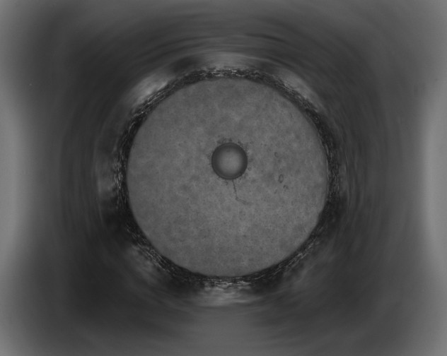 X0000087680824200705041027