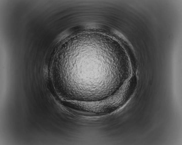 X0000087680825200705041027