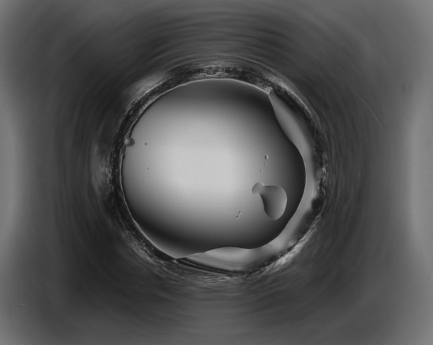 X0000087680826200705041027