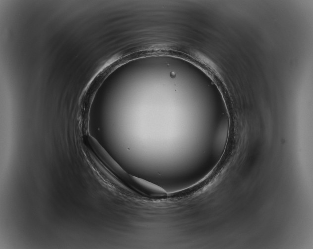 X0000087680827200705041027