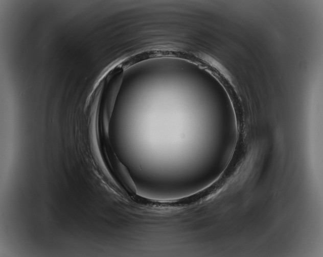 X0000087680829200705041027