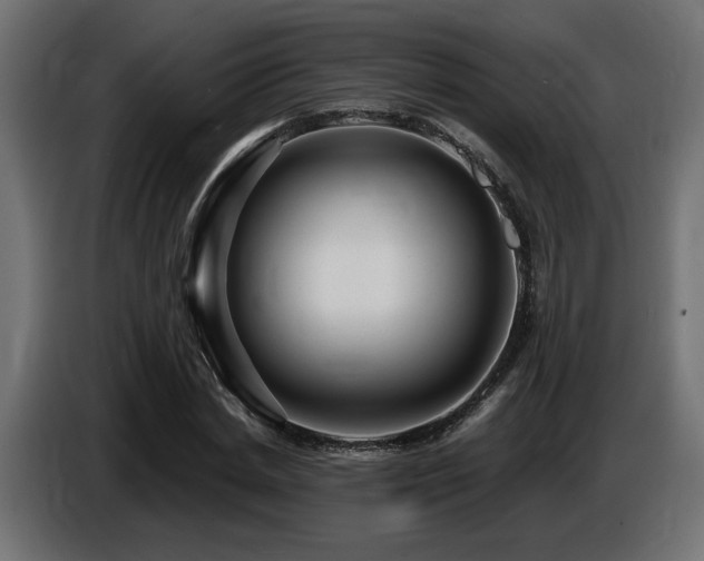 X0000087680830200705041027