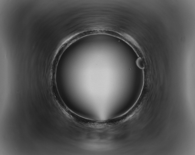 X0000087680831200705041027