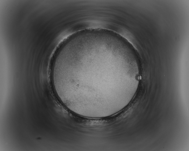 X0000087680832200705041027