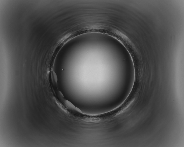 X0000087680833200705041027