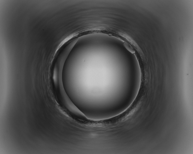 X0000087680834200705041027