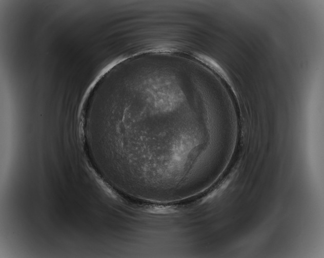 X0000087680835200705041027