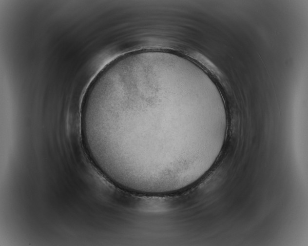 X0000087680836200705041027
