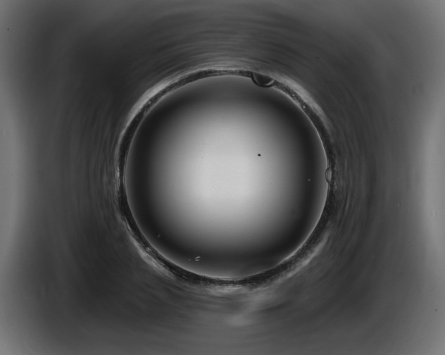 X0000087680837200705041027