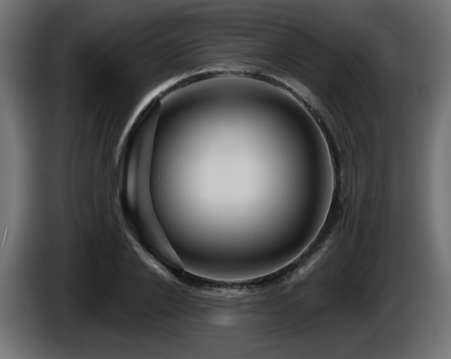 X0000087680838200705041027