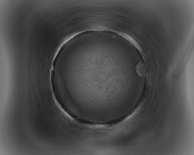 X0000087680839200705041027