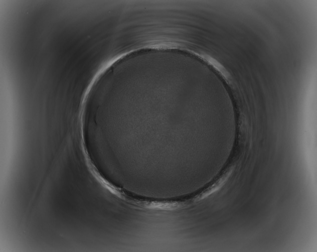 X0000087680840200705041027