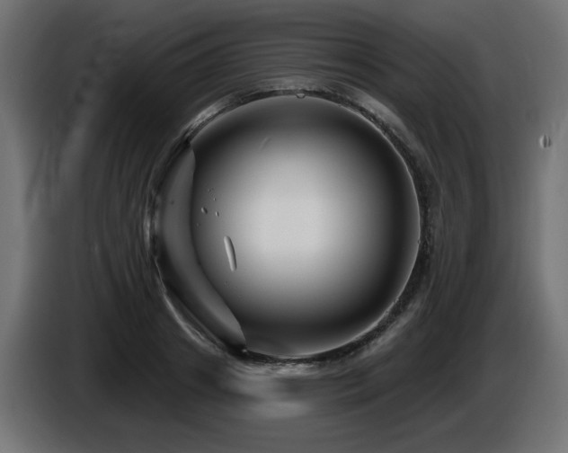 X0000087680841200705041027