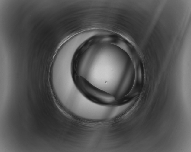 X0000087680842200705041027