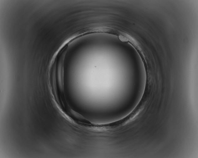 X0000087680843200705041027