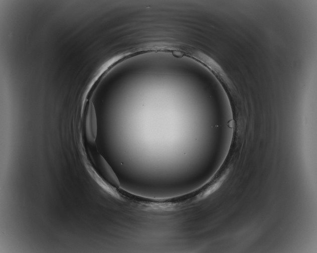 X0000087680844200705041027
