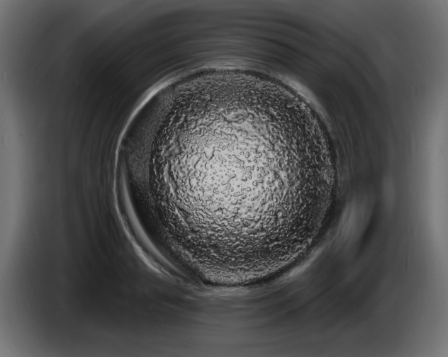 X0000087680845200705041027