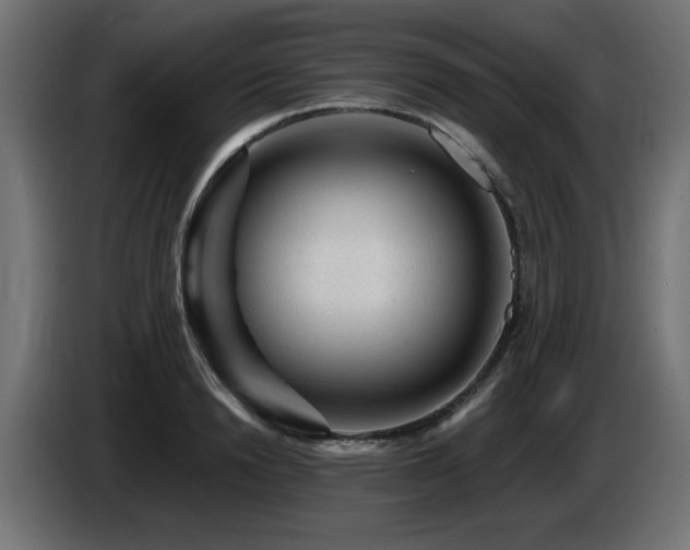 X0000087680846200705041027