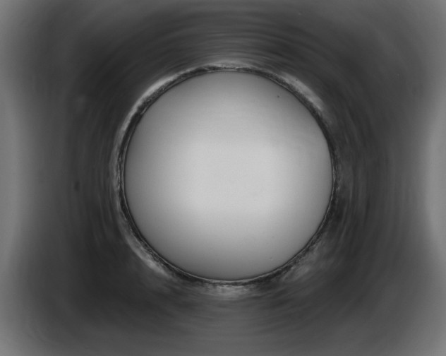 X0000087680848200705041027