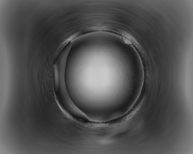 X0000087680849200705041027