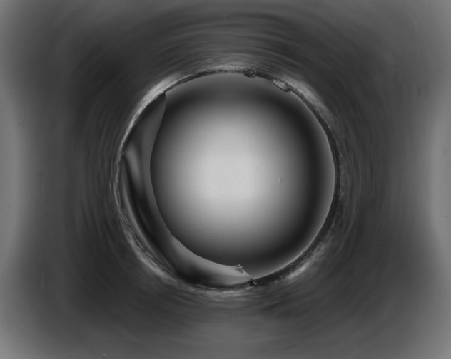 X0000087680850200705041027