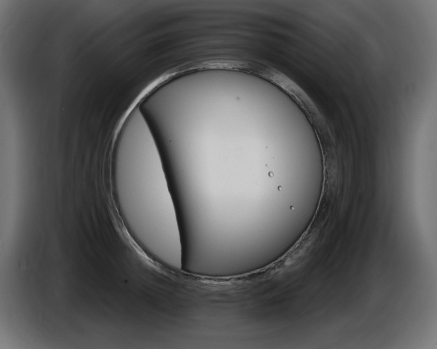 X0000087680852200705041027