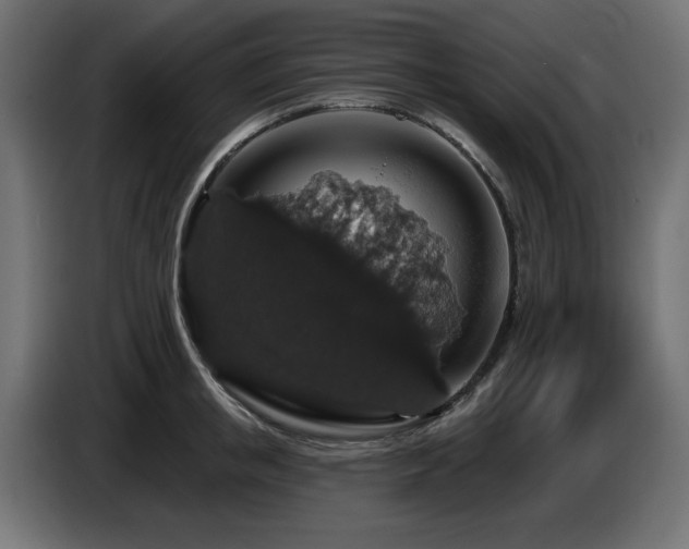 X0000087680853200705041027