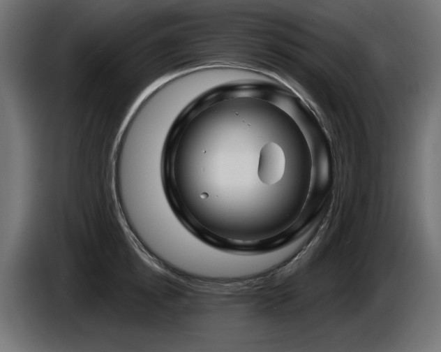 X0000087680854200705041027