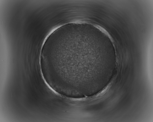X0000087680855200705041027