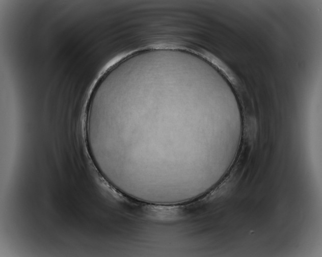 X0000087680856200705041027
